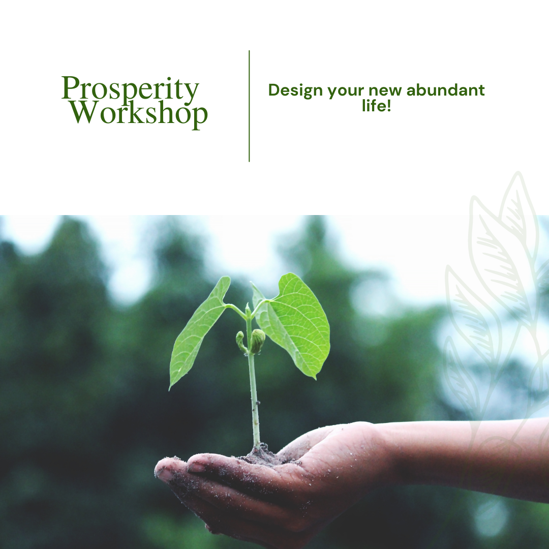 Prosperity Workshop – English