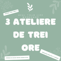 3 Ateliere de Trei Ore